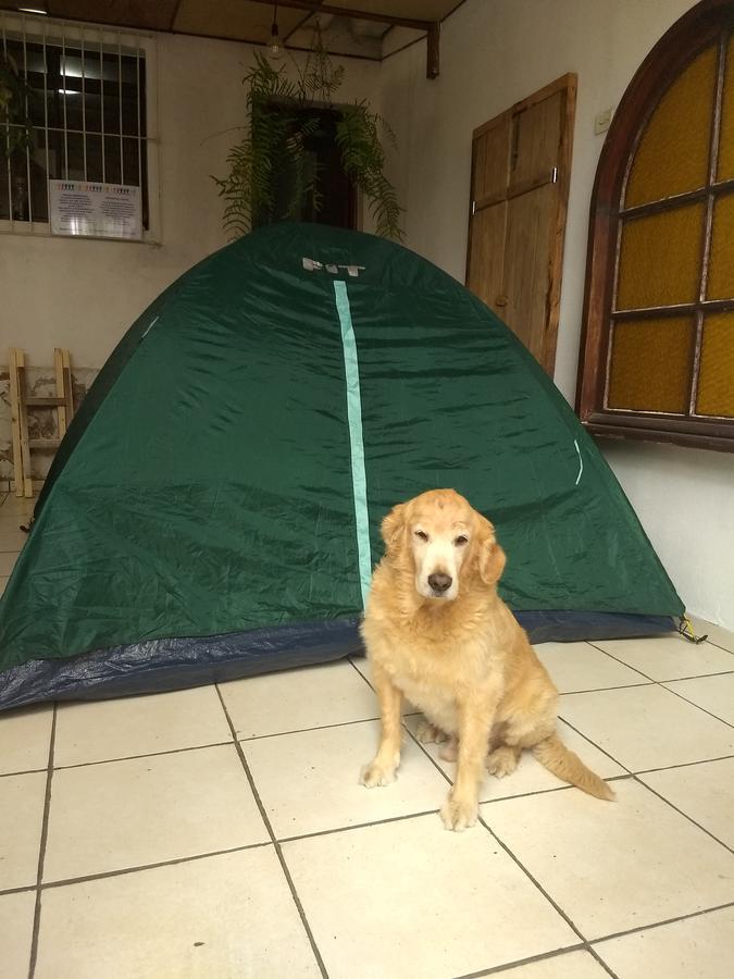 Hostel Residencial Σάο Πάολο Εξωτερικό φωτογραφία